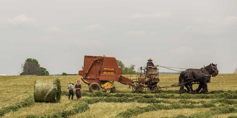 HD富城12:商业空间与房产开发融合的新范式