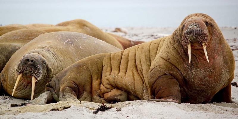 HD富城32：以高端物业为核，重塑城市人居与服务的价值标杆