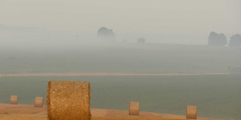 HD富城45：以物业服务与商业空间创新，重塑房产开发价值新维度