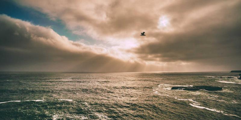 HD富城50：解码商业空间投资新范式，掘金未来房地产价值高地