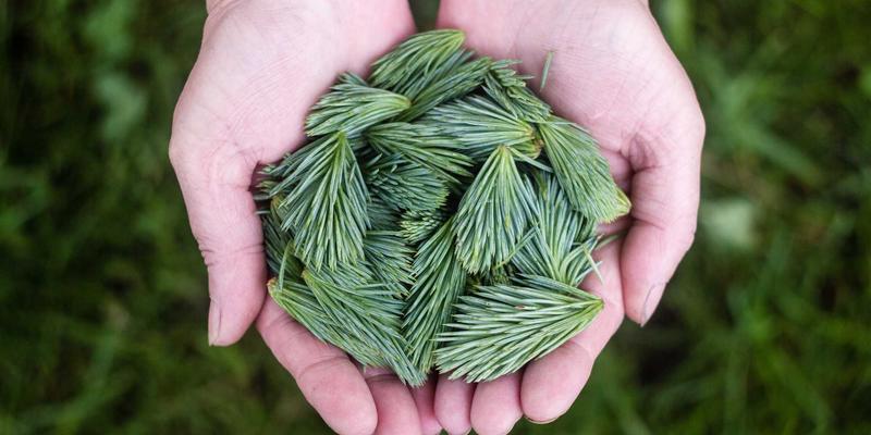 HD富城69：投资地产、物业服务与商业空间的全面价值解析