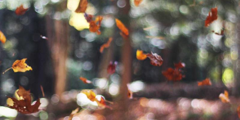 HD富城业主社群运营案例：商业空间与物业服务如何通过线上线下活动提升社区凝聚力