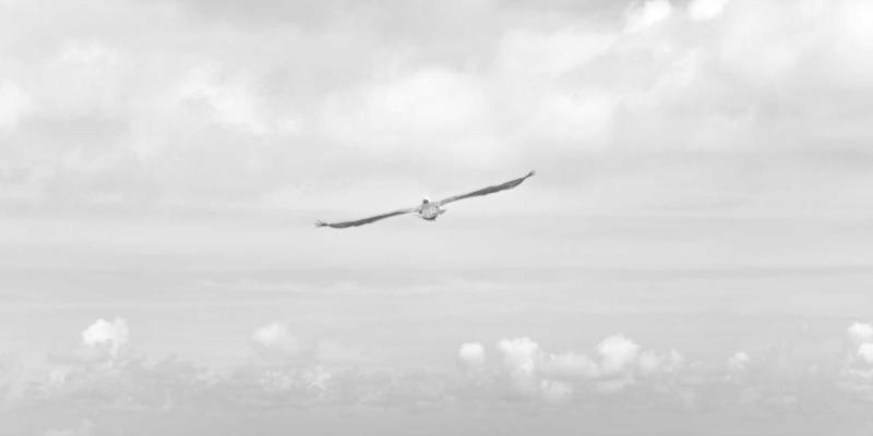 HD富城：以卓越室内声学设计重塑投资地产与商业空间价值