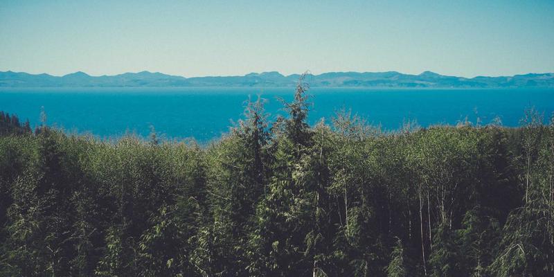 HD富城楼盘深度评测：户型设计、价格解析与物业服务全透视