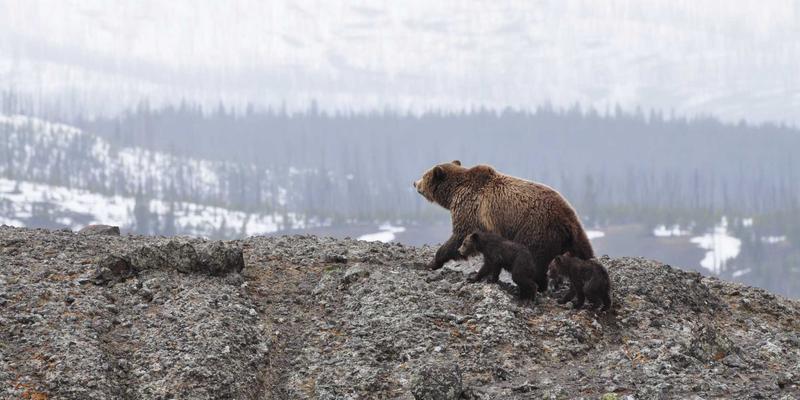 投资地产新思维：HD富城如何以工业风社区文化提升品牌认同与邻里黏性